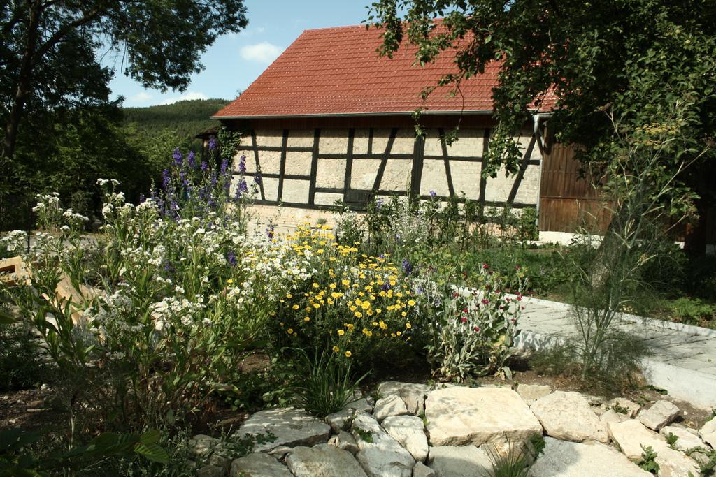 Cafe Landart Im Thueringer Finistere Apartment Plaue  Cameră foto